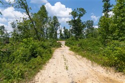 property photo for Creek Hollow Phase II Tract 71, 13.01 acres for sale in Rockcastle County, Kentucky