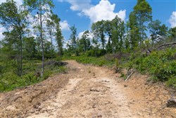 property photo for Creek Hollow Phase II Tract 71, 13.01 acres for sale in Rockcastle County, Kentucky