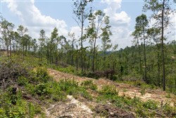 property photo for Creek Hollow Phase II Tract 71, 13.01 acres for sale in Rockcastle County, Kentucky