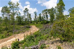 property photo for Creek Hollow Phase II Tract 71, 13.01 acres for sale in Rockcastle County, Kentucky