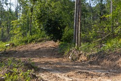 property photo for Creek Hollow Phase II Tract 84, 5.69 acres for sale in Rockcastle County, Kentucky