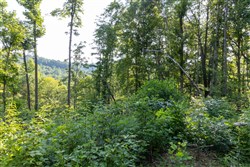 property photo for Creek Hollow Phase II Tract 84, 5.69 acres for sale in Rockcastle County, Kentucky