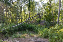 property photo for Creek Hollow Phase II Tract 84, 5.69 acres for sale in Rockcastle County, Kentucky
