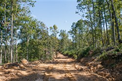 property photo for Wounded Oak Tract 2, 5.14 acres for sale in Rockcastle County, Kentucky