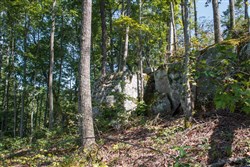 property photo for Wounded Oak Tract 2, 5.14 acres for sale in Rockcastle County, Kentucky