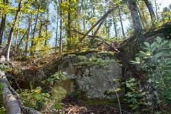 property photo for Wounded Oak Tract 2, 5.14 acres for sale in Rockcastle County, Kentucky