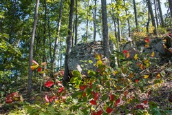 property photo for Wounded Oak Tract 2, 5.14 acres for sale in Rockcastle County, Kentucky