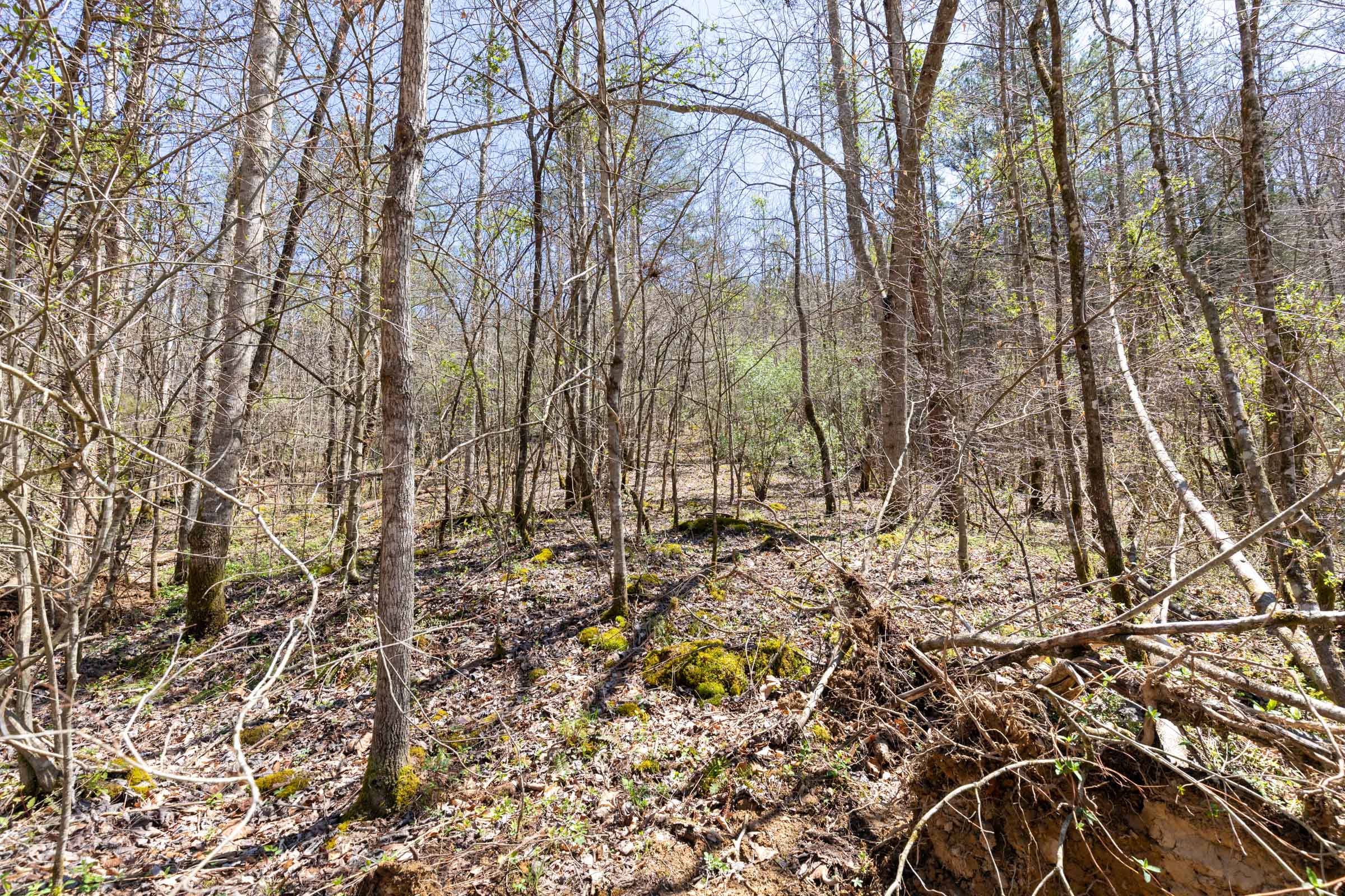 Tract 10 at Woodland Heights in Wayne County, Kentucky