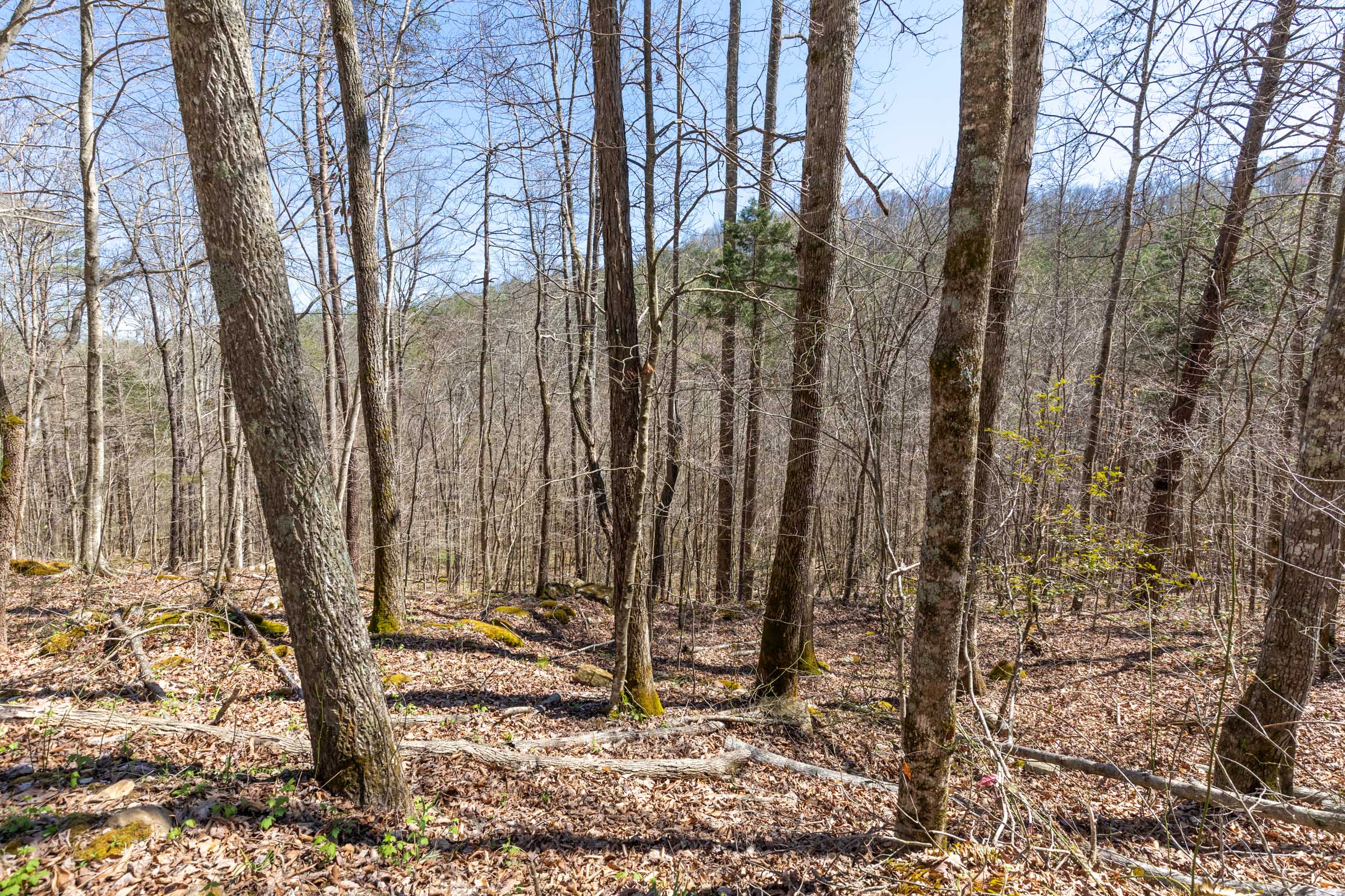 Tract 11 at Woodland Heights in Wayne County, Kentucky