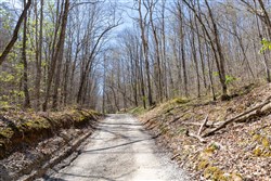 property photo for Woodland Heights Tract 14, 7.36 acres for sale in Wayne County, Kentucky