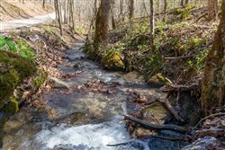 property photo for Woodland Heights Tract 14, 7.36 acres for sale in Wayne County, Kentucky