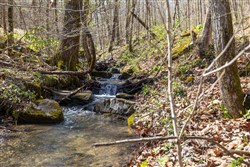 property photo for Woodland Heights Tract 14, 7.36 acres for sale in Wayne County, Kentucky