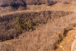 property photo for Jade Pass Tract 33, 7.65 acres for sale in Whitley County, Kentucky