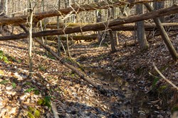 property photo for Jade Pass Tract 33, 7.65 acres for sale in Whitley County, Kentucky