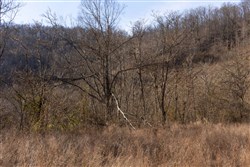 property photo for Jade Pass Tract 33, 7.65 acres for sale in Whitley County, Kentucky