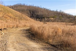 property photo for Jade Pass Tract 35, 8.84 acres for sale in Whitley County, Kentucky