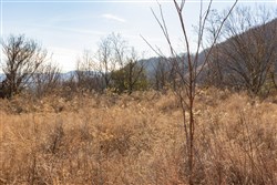 property photo for Jade Pass Tract 35, 8.84 acres for sale in Whitley County, Kentucky