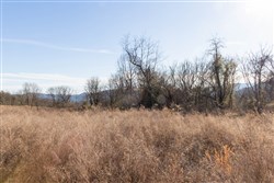 property photo for Jade Pass Tract 35, 8.84 acres for sale in Whitley County, Kentucky
