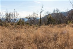 property photo for Jade Pass Tract 35, 8.84 acres for sale in Whitley County, Kentucky