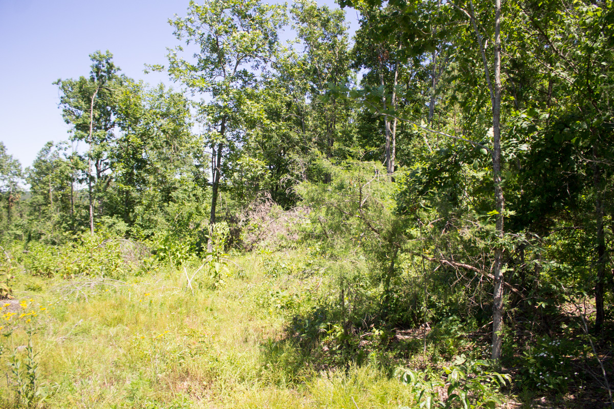Tract 12 at Timber Crossing in Douglas County, Missouri