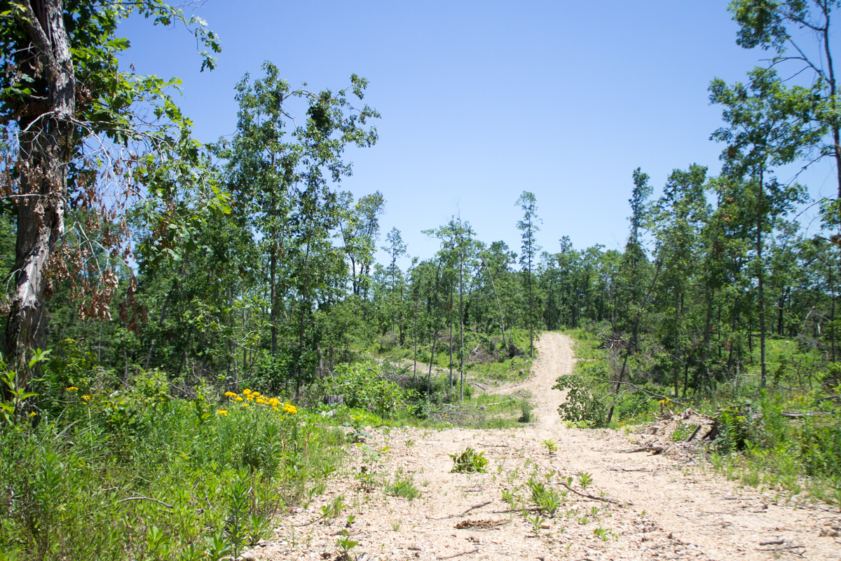Tract 18 at Timber Crossing in Douglas County, Missouri