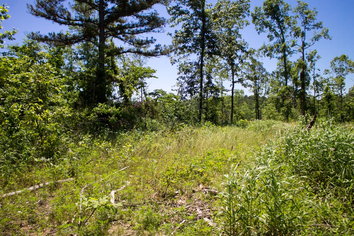 Tract 19 at Timber Crossing in Douglas County, Missouri