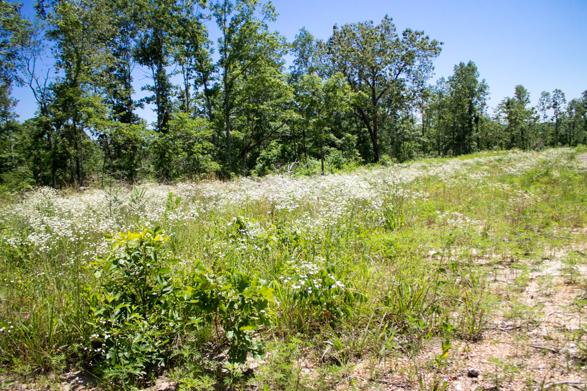 Tract 21 at Timber Crossing in Douglas County, Missouri