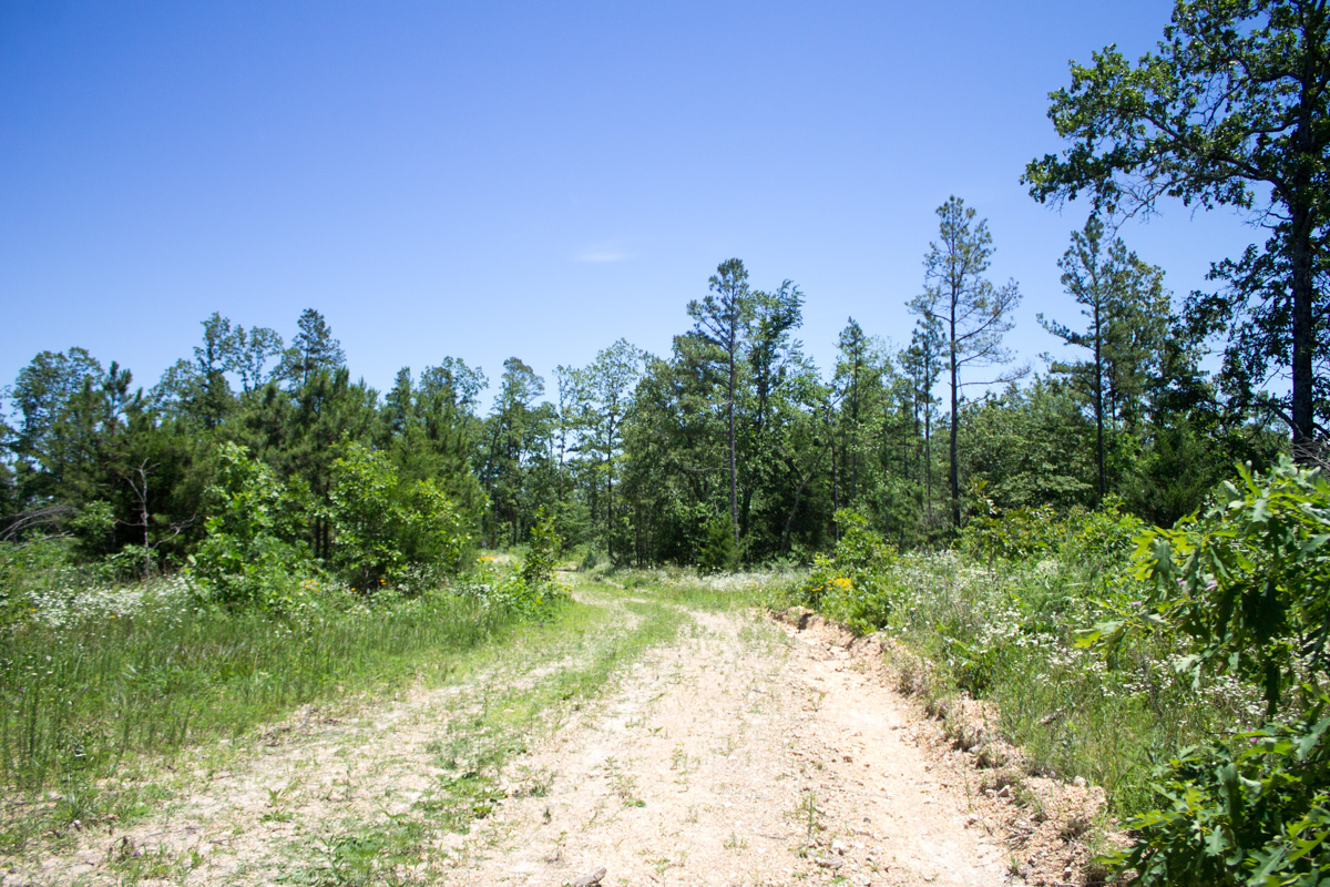 Tract 22 at Timber Crossing in Douglas County, Missouri