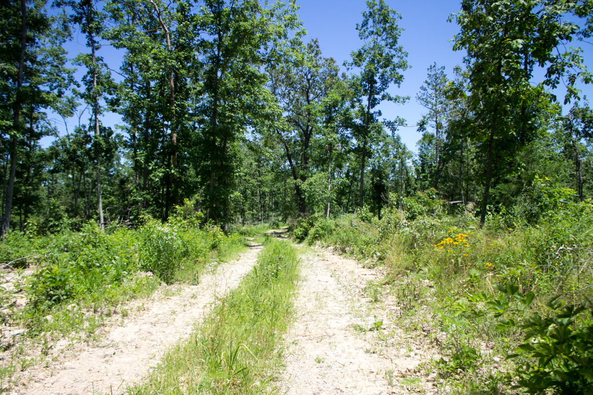 Tract 23 at Timber Crossing in Douglas County, Missouri