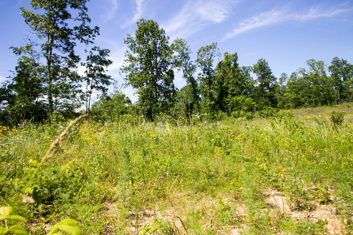 Tract 25 at Timber Crossing in Douglas County, Missouri