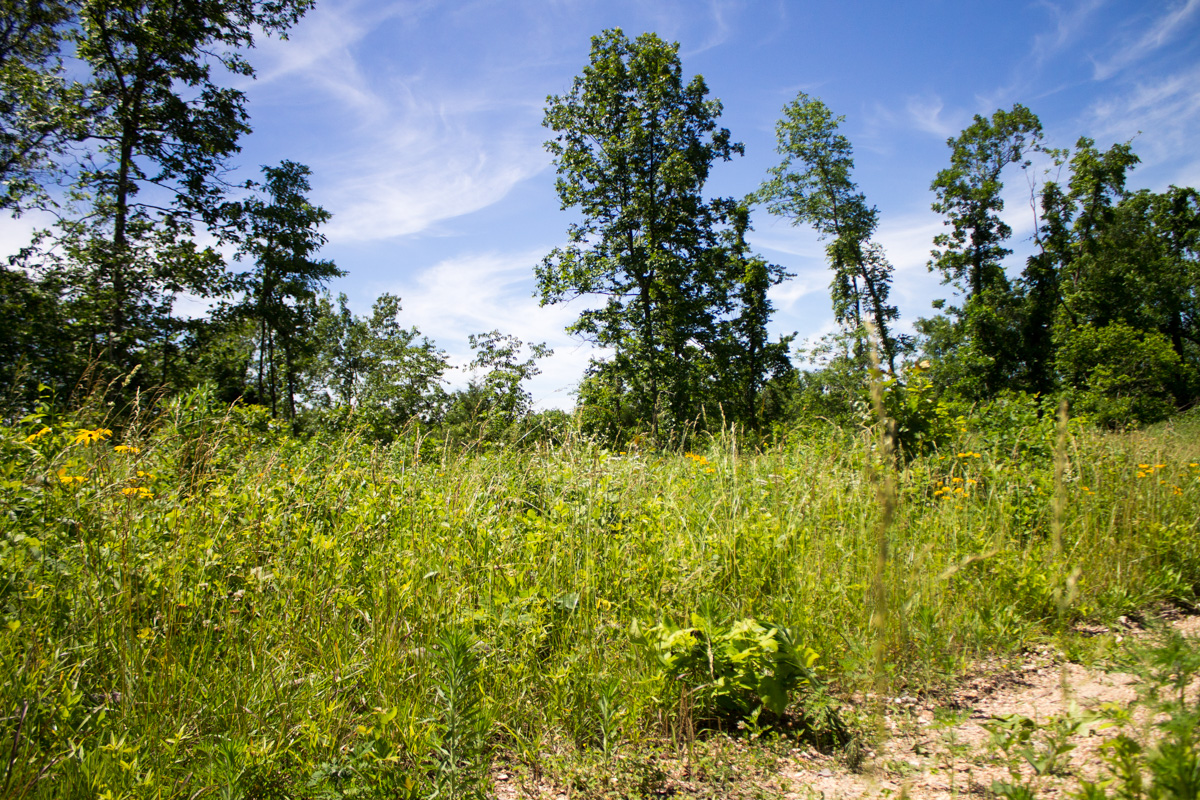 Tract 26 at Timber Crossing in Douglas County, Missouri
