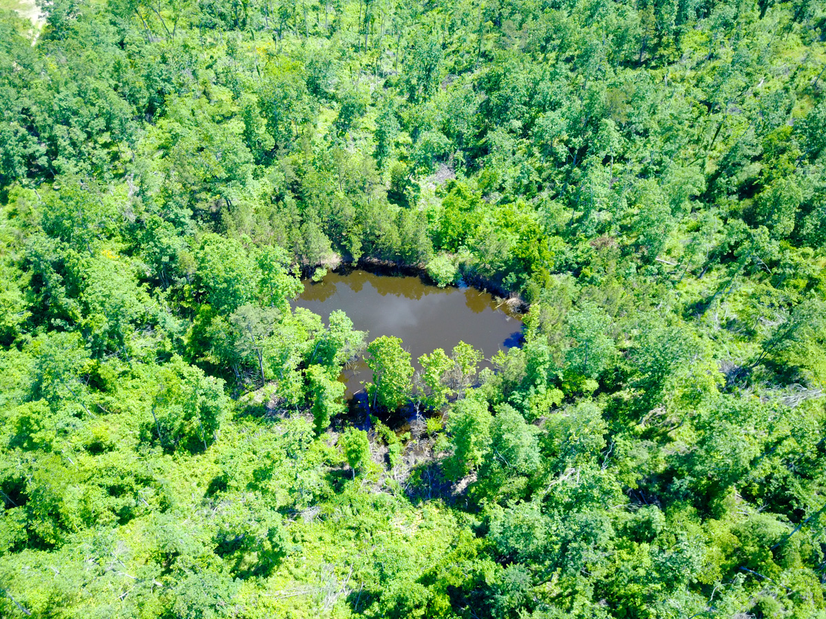 Tract 27 at Timber Crossing in Douglas County, Missouri