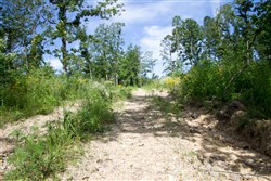 property photo for Timber Crossing Tract 29, 16.07 acres for sale in Douglas County, Missouri