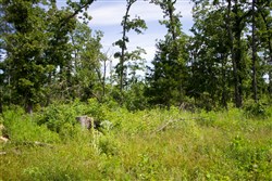 property photo for Timber Crossing Tract 29, 16.07 acres for sale in Douglas County, Missouri