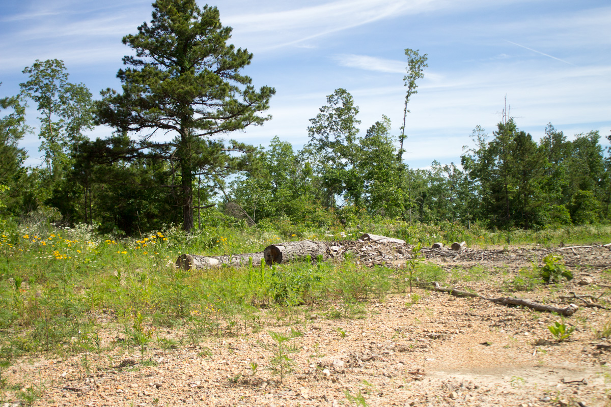 Tract 30 at Timber Crossing in Douglas County, Missouri
