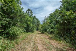 property photo for Springlake Plat 1 Tract 25, 0.2 acres for sale in Miller County, Missouri