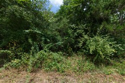 property photo for Springlake Plat 1 Tract 25, 0.2 acres for sale in Miller County, Missouri
