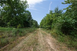 property photo for Springlake Plat 1 Tract 25, 0.2 acres for sale in Miller County, Missouri