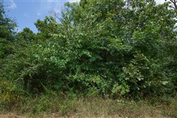 property photo for Springlake Plat 1 Tract 25, 0.2 acres for sale in Miller County, Missouri