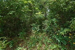property photo for Springlake Plat 1 Tract 25, 0.2 acres for sale in Miller County, Missouri