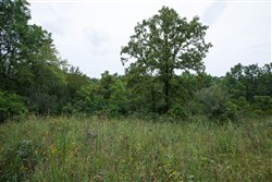 property photo for Springlake Plat 5 Tract 174, 0.15 acres for sale in Miller County, Missouri