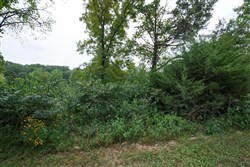 property photo for Springlake Plat 5 Tract 174, 0.15 acres for sale in Miller County, Missouri