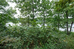 property photo for Springlake Plat 5 Tract 20, 0.18 acres for sale in Miller County, Missouri