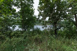 property photo for Springlake Plat 5 Tract 20, 0.18 acres for sale in Miller County, Missouri