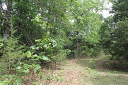 property photo for Cedar Ridge Ranch Tract 26, 7.17 acres for sale in Phelps County, Missouri