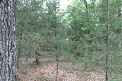 property photo for Cedar Ridge Ranch Tract 26, 7.17 acres for sale in Phelps County, Missouri