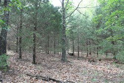 property photo for Cedar Ridge Ranch Tract 26, 7.17 acres for sale in Phelps County, Missouri