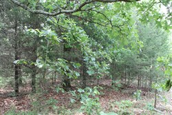 property photo for Cedar Ridge Ranch Tract 26, 7.17 acres for sale in Phelps County, Missouri