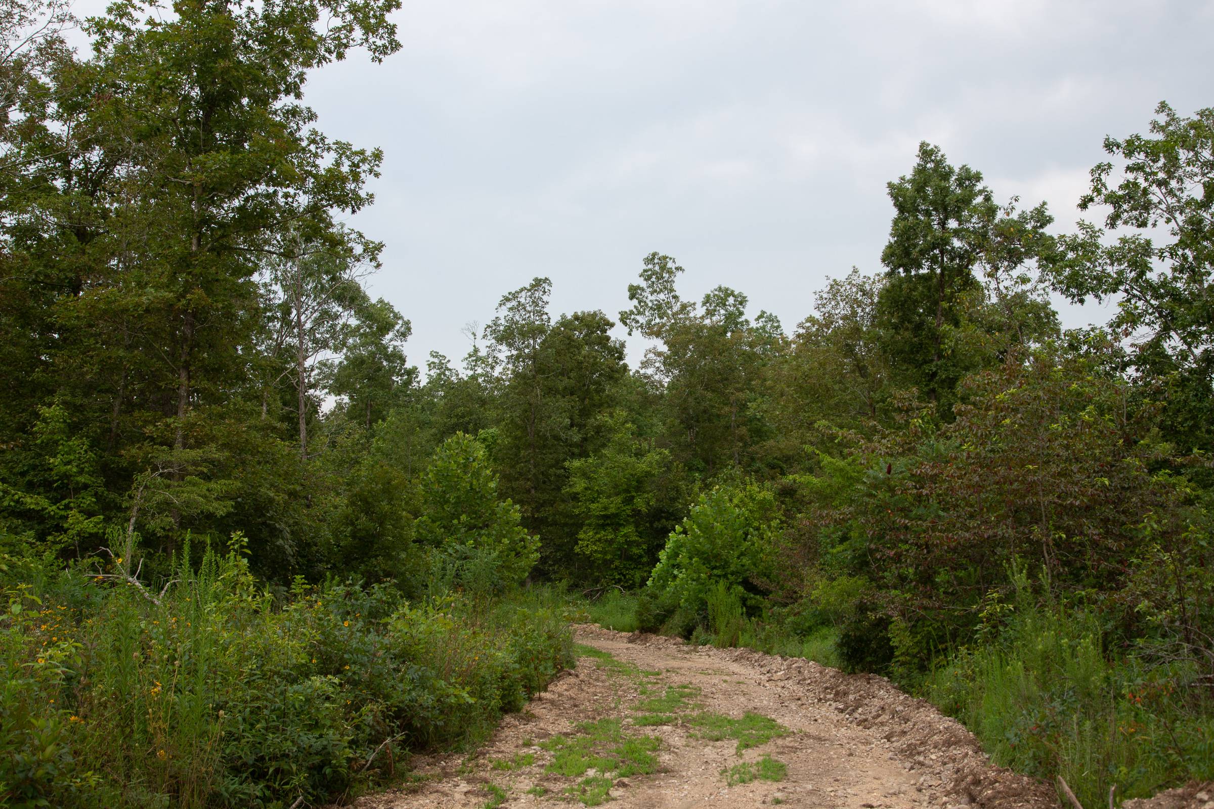 Tract 33 at Borgmanns Hollow Phase II in Shannon County, Missouri
