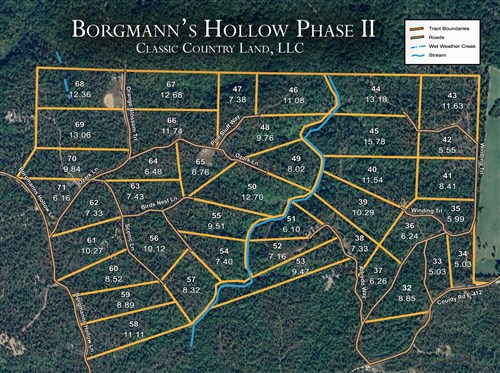 Tract layout map for Borgmanns Hollow Phase II Tract 36 in Shannon County, Missouri